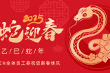 辭舊迎新，蛇舞華章丨深圳容金科技全體員工祝您新春快樂！